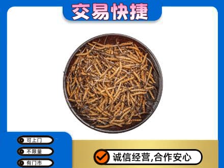 蒲县礼品回收虫草.jpg